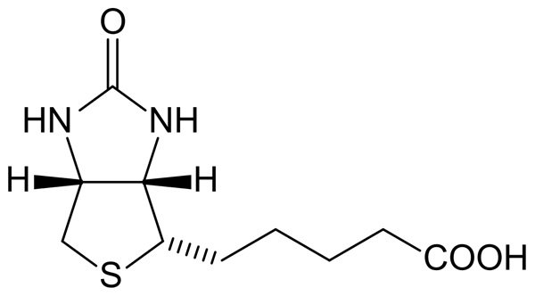 Витамин В7 (Биотин). Функции, источники и применение биотина